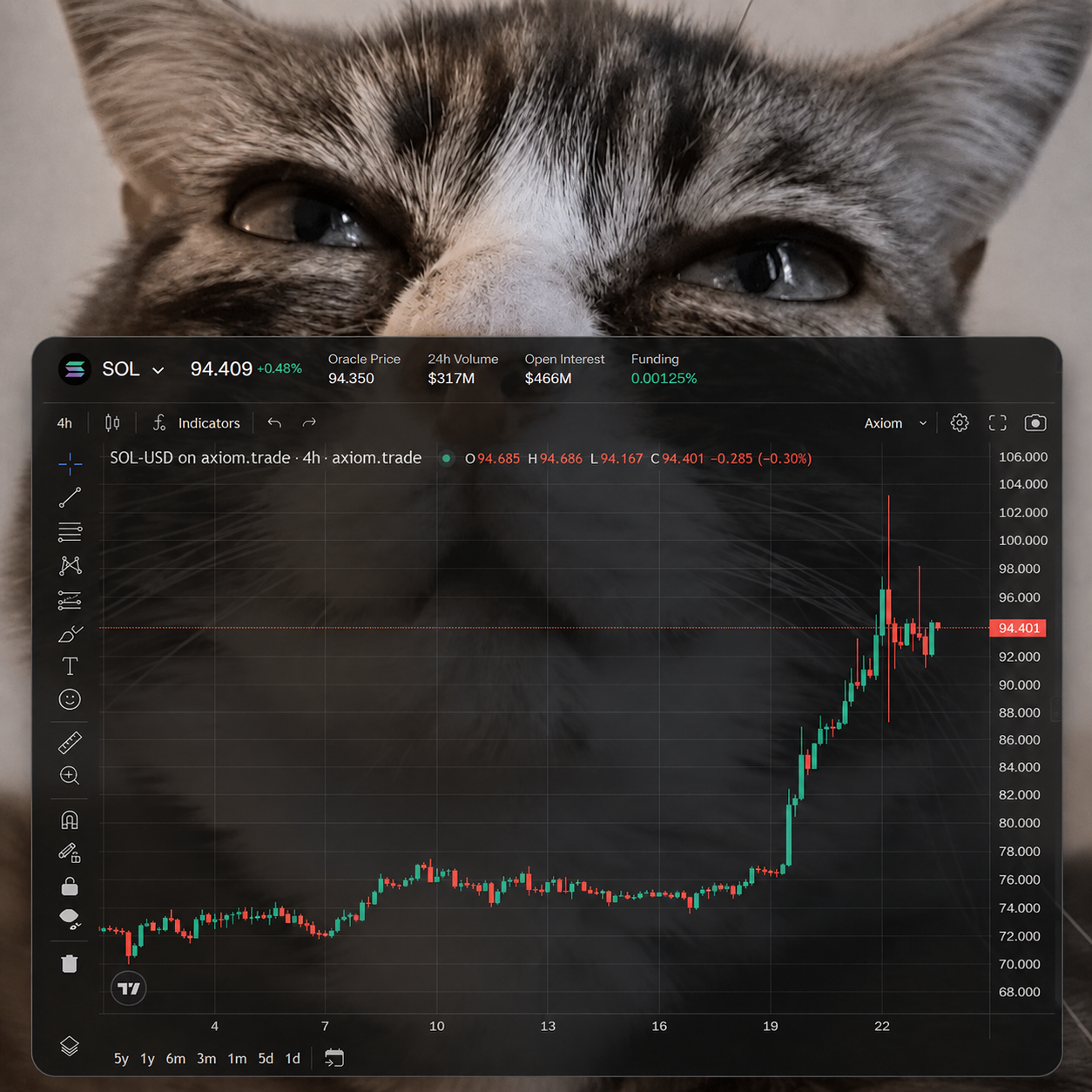PURRABOLIC cat watching a Solana chart